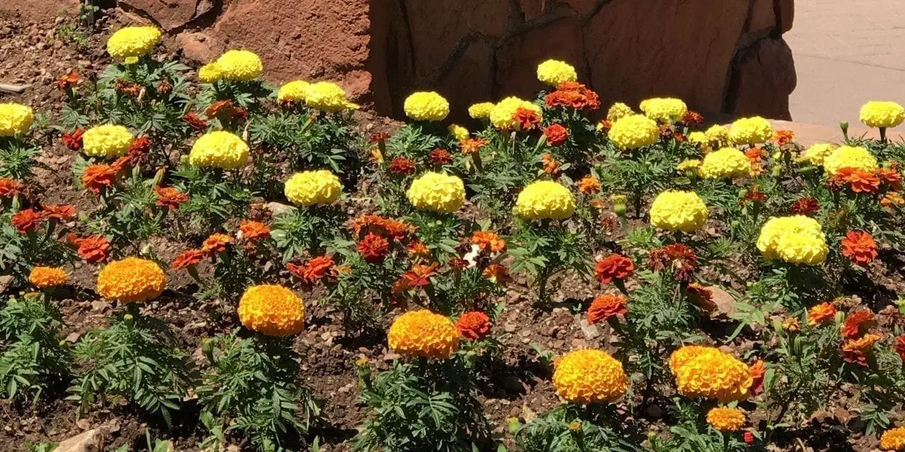 Day 11 – Sedona AZ