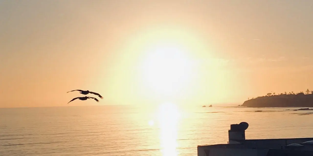 Day 14 – Joshua Tree CA to Laguna Beach CA. 150 miles